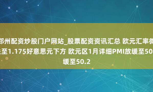 郑州配资炒股门户网站_股票配资资讯汇总 欧元汇率微跌至1.175好意思元下方 欧元区1月详细PMI放缓至50.2